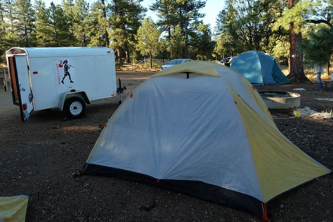 11 Day Best of the West National Parks Tour Las Vegas to San Francisco - Day 7: Route 66 and a Las Vegas reset