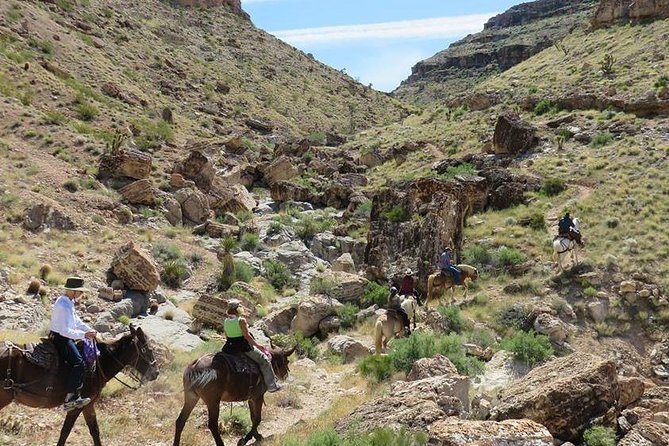 2-Hour Horseback Riding through Red Rock Canyon - Leaving Las Vegas for red rock country