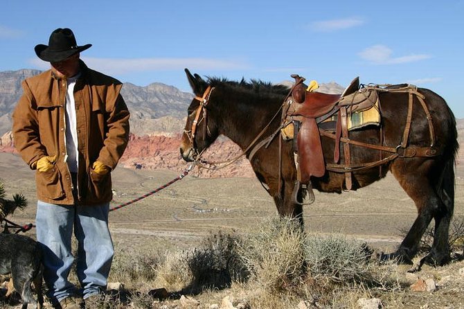 2-Hour Horseback Riding through Red Rock Canyon - What the group size means