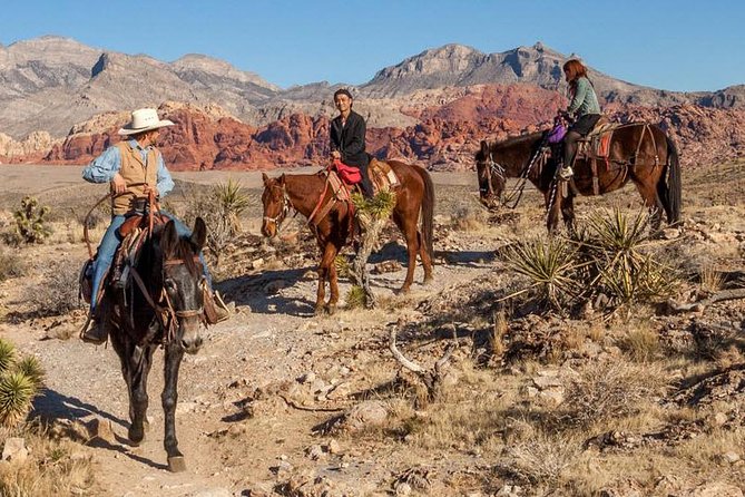 2-Hour Horseback Riding through Red Rock Canyon - At Cowboy Trail Rides, choosing your horse