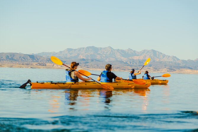2-Hour Lake Mead Kayak Tour from Las Vegas - Wildlife watching works best when you slow down