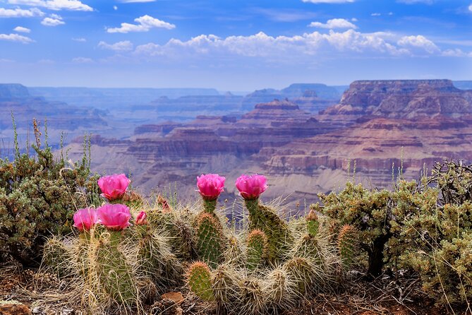 3-Day Grand Canyon, Antelope, Bryce & Zion Tour from Vegas - Guides, vehicles, and the multilingual setup