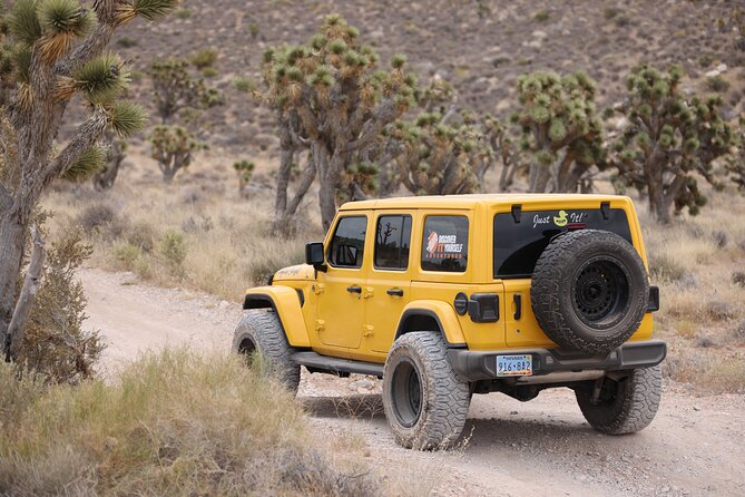 5 Hour Las Vegas Off-Road: Self Drive Jeep Mojave Adventure - Why this Las Vegas outing feels different