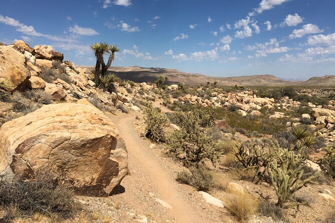 5 Hour Las Vegas Off-Road: Self Drive Jeep Mojave Adventure - Pioneer Saloon and Nevada’s past