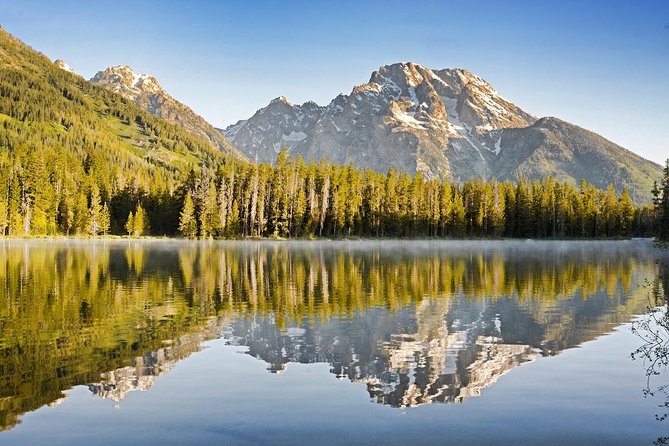7-Day Camping Tour: Bryce Canyon, Grand Tetons, Yellowstone from Las Vegas - Day 5: More Yellowstone and an optional animal center