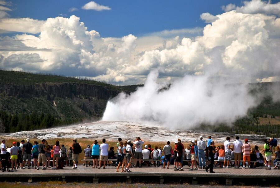 7-Day Yellowstone National Park Rocky Mountain Explorer - Day 6: Grizzly Bear and Wolf Discovery Center