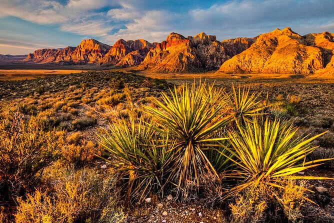 7 Magic Mountains Tour and Las Vegas Sign on a Slingshot - What to bring and how to use the time