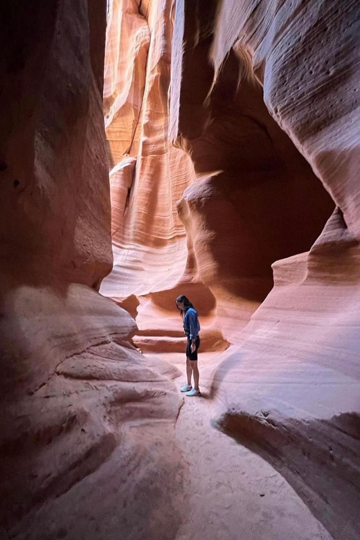 Antelope Canyon and Horseshoe Bend Vip small group tour - Key points to know before booking