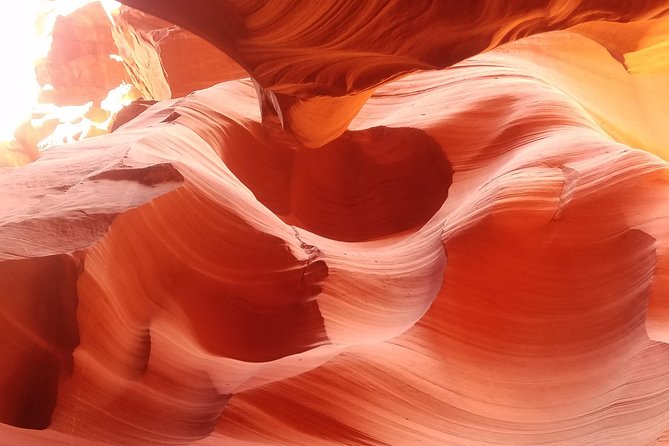 Antelope Canyon, Horseshoe Bend and Lake Powell Tour from Las Vegas - Lake Powell: a quick first look at red rock and water