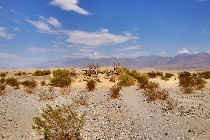 Arizona Ghost Towns and Wild-West Day Trip from Las Vegas - El Dorado and the old Techatticup Mine country