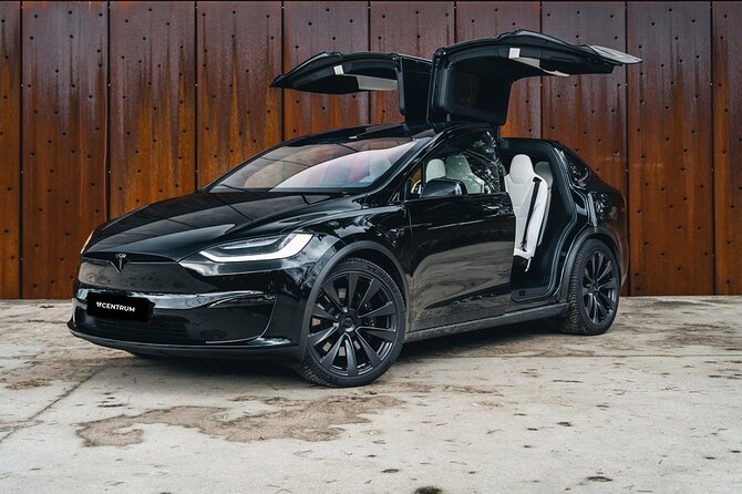 Arrival Private Transfer from Las Vegas Airport to Las Vegas by electric vehicle - Who Should Book This Transfer?