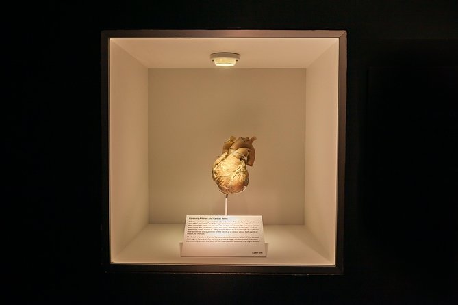 Bodies The Exhibition at the Luxor Hotel and Casino - Practical tips for a better visit