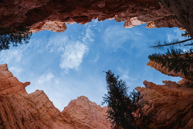 Bryce Canyon & Zion National Park from Las Vegas with Lunch, WiFi - The Zion-Mount Carmel Highway and tunnel