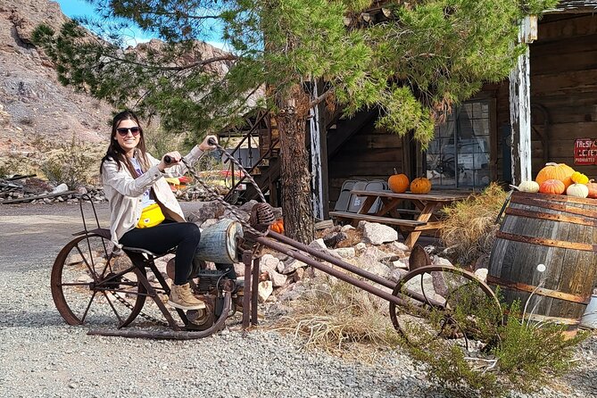 Colorado River Blast: Adrenaline RZR Tour + Ghost Town + Lunch - The Colorado River rush