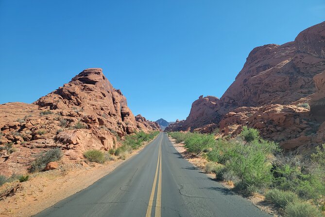 Combo Tour: Valley of Fire & Hoover Dam Full-Day Tour - Petrified logs and ancient plant life