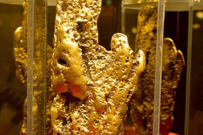 Daytime Downtown Las Vegas Walking Tour - The Golden Nugget’s gold and shark pool