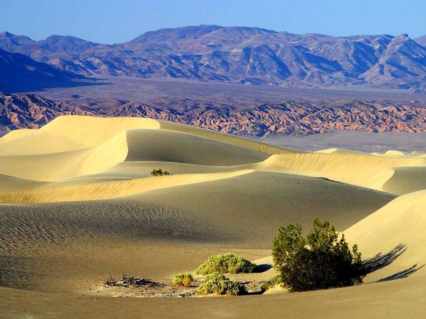 Death Valley Day-Tour from Las Vegas - Rhyolite, Where Gold Fever Ran Out