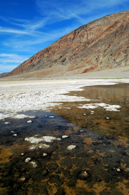 Death Valley Day-Tour from Las Vegas - Artists Palette, Volcanic Color, and Desert Detail