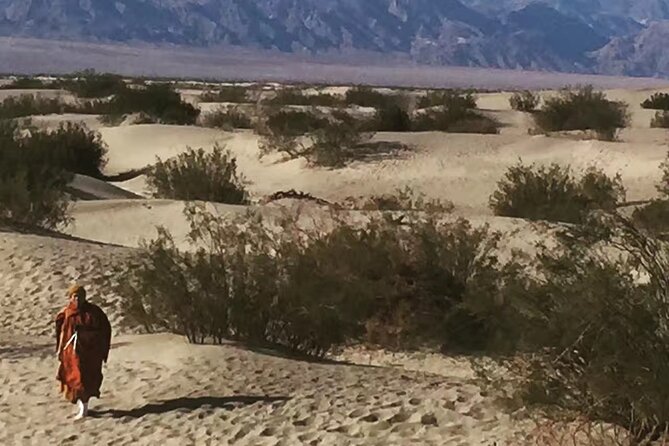 Death Valley Small Group Luxury SUV Day Tour - What the SUV format means for your day