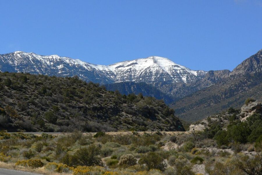 From Las Vegas: Day Trip to Mount Charleston Resort - Is $109 a Fair Price?