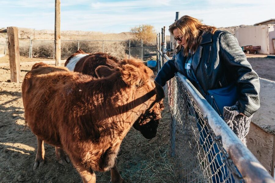 From Las Vegas: Desert Sunset Horseback Ride with BBQ Dinner - Is $159 a fair price?