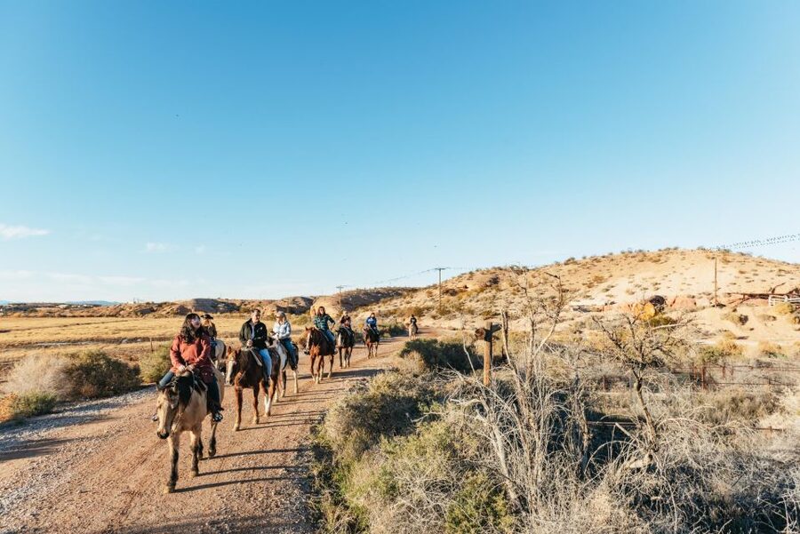 From Las Vegas: Desert Sunset Horseback Ride with BBQ Dinner - Who will enjoy this, and who should skip it?