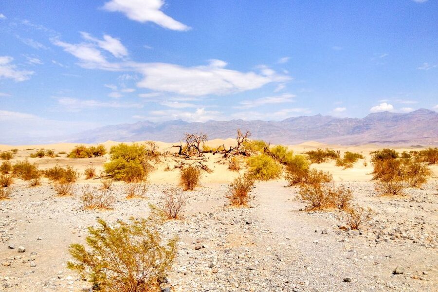 From Las Vegas: Ghost Town Wild West Adventures Day Trip - Route 66 and the approach to Oatman
