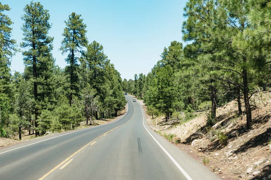 From Las Vegas: Grand Canyon South Rim Day Trip - Pickup, timing, and what the long day feels like