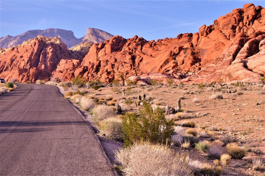 From Las Vegas: Red Rock Canyon Electric Bike Hire - Is the $129 price fair?
