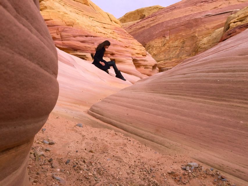 From Las Vegas: Valley of Fire State Park Tour - Petroglyphs and petrified trees