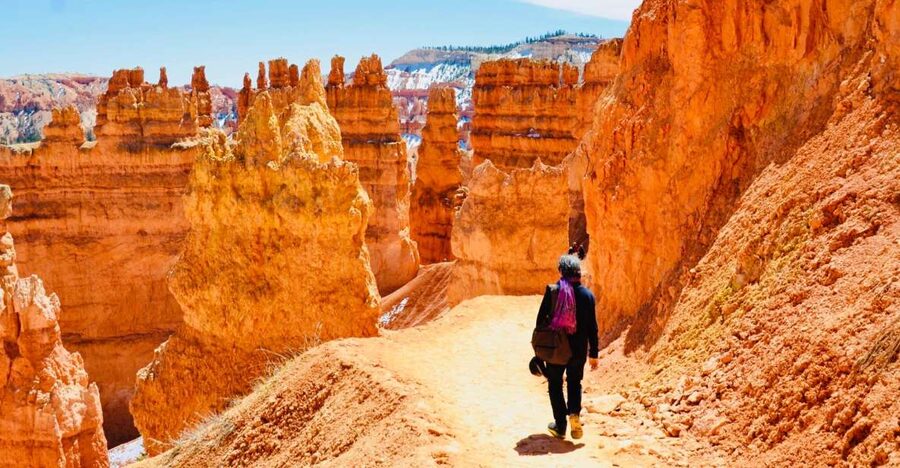 From Las Vegas: Zion and Bryce Canyon Day Trip with Pickup - Bryce Canyon, where the rock seems hand-carved