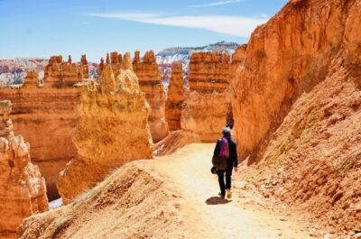 Zion and Bryce Canyon Day Trip with Pickup