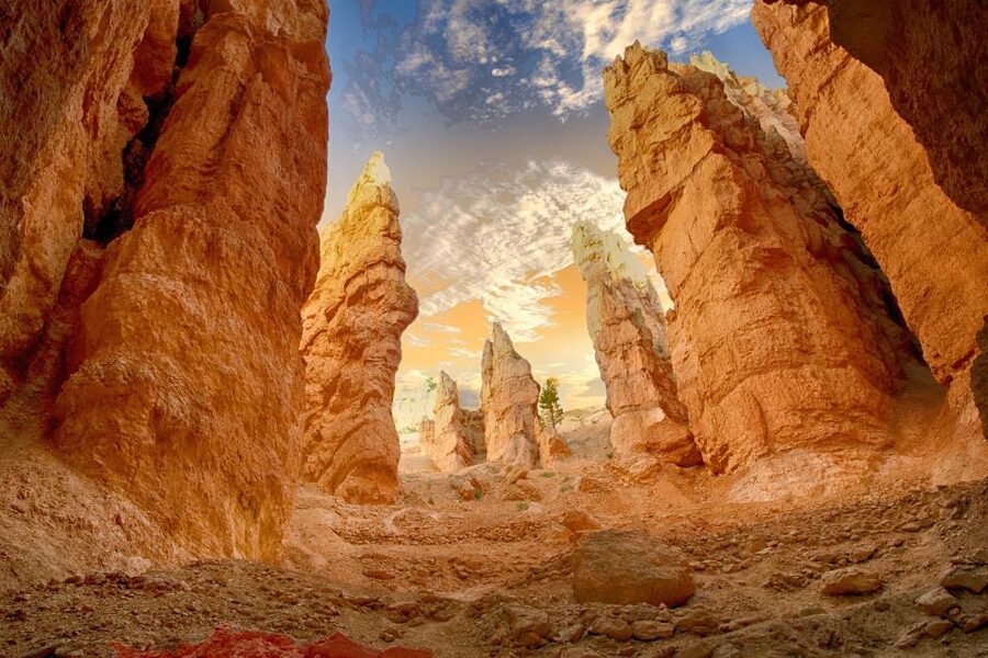 From Las Vegas: Zion and Bryce Canyon Day Trip with Pickup - Who gets the most from this $239 day trip?