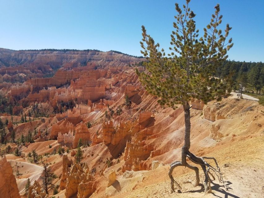 From Las Vegas: Zion and Bryce Canyon Guided Day Tour - Key points at a glance