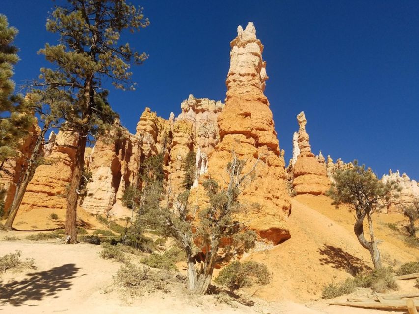 From Las Vegas: Zion and Bryce Canyon Guided Day Tour - Zion through the Mount Carmel tunnel