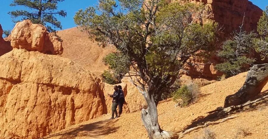 From Las Vegas: Zion and Bryce Canyon Guided Day Tour - Zion viewpoints, from Angel’s Landing to Big Bend