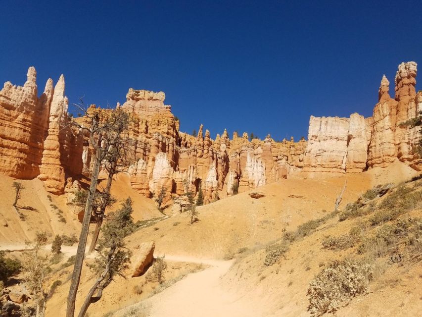 From Las Vegas: Zion and Bryce Canyon Guided Day Tour - Bryce Canyon and the world of hoodoos