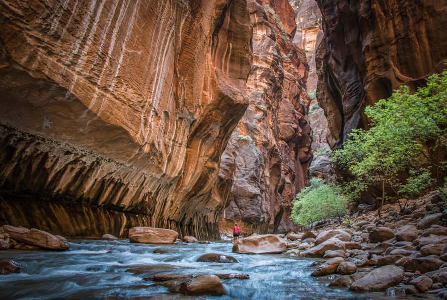 From Las Vegas: Zion National Park Day Trip - Hurricane, Utah: a short reset