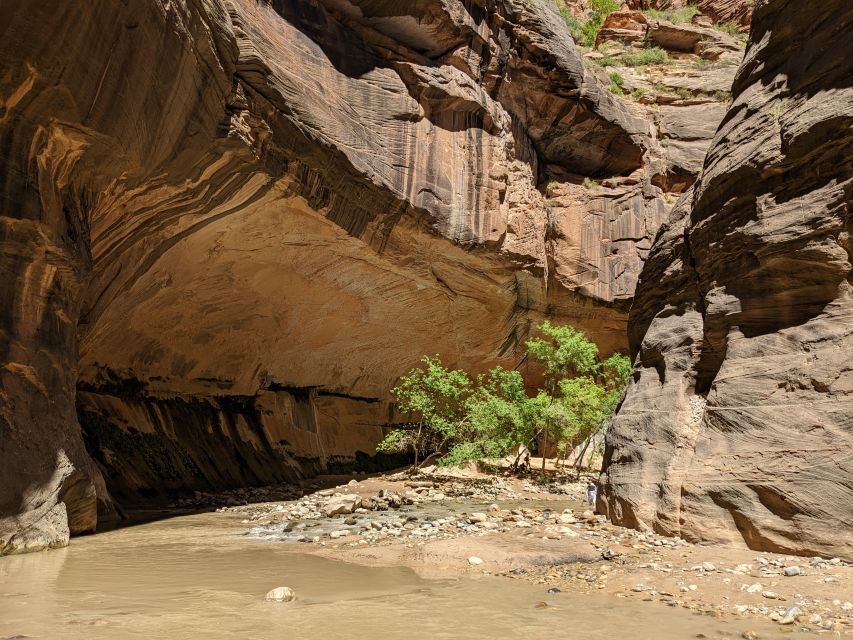 From Las Vegas: Zion National Park Small Group Adventure - Why this day trip works from Las Vegas