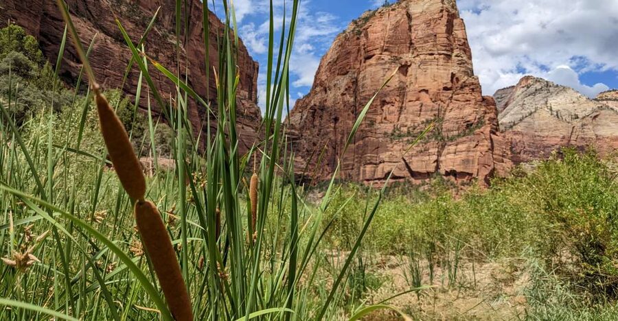 From Las Vegas: Zion National Park Small Group Adventure - Six hours in Zion Canyon, with freedom to choose