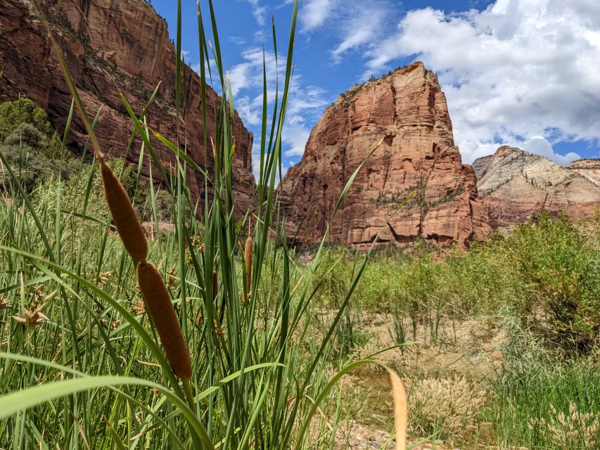 From Las Vegas: Zion National Park Small Group Adventure - Angels Landing, the Narrows, and Emerald Pools