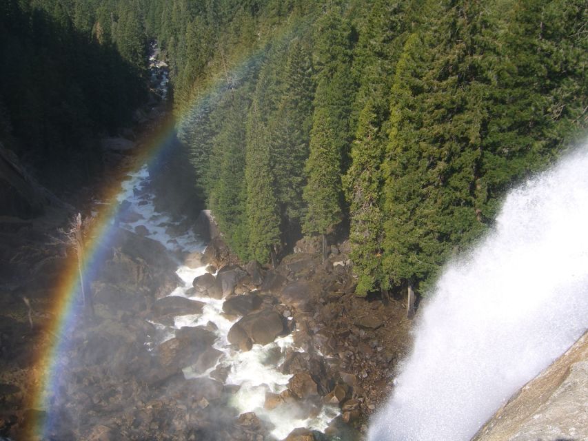 From Vegas to San Francisco: 7-Day National Park Tour - What this seven-day route does well
