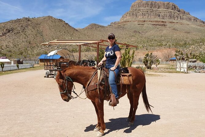 Full Day Grand Canyon Trip with Horseback Ride From Las Vegas - Is $246.25 a fair price?