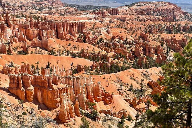 Full-Day Small Group Tour in Bryce Canyon - The price makes the guide especially important