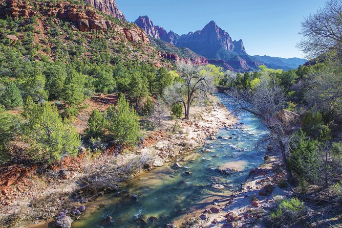Full-Day Zion National Park Tour from Las Vegas - The guide can make the long drive worthwhile