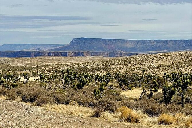 Grand Canyon Helicopter and Ranch Adventure by Luxury Vehicle - Who will get the most from this experience
