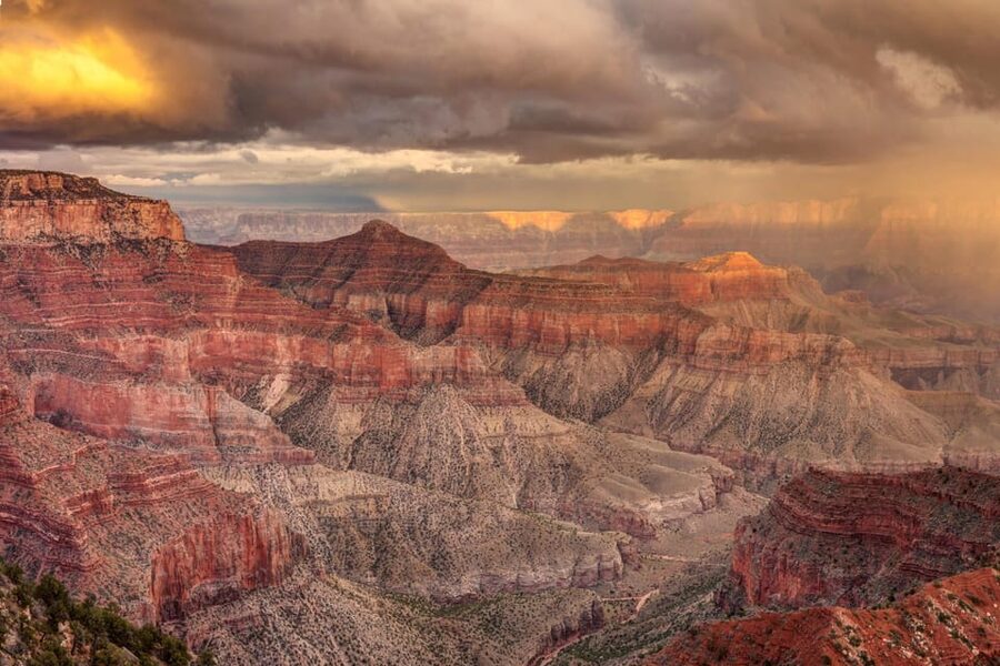 Grand Canyon Hoover Dam and Joshua Tree VIP Small Group Tour - What the $220 price really covers