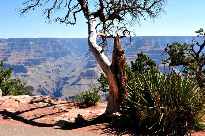 Grand Canyon National Park VIP Tour from Las Vegas - Hoover Dam and the Mike O’Callaghan Bridge