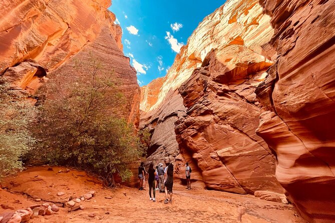 Grand Canyon South Rim, Antelope Canyon and Horseshoe Bend Tour - Lower Antelope Canyon or Canyon X