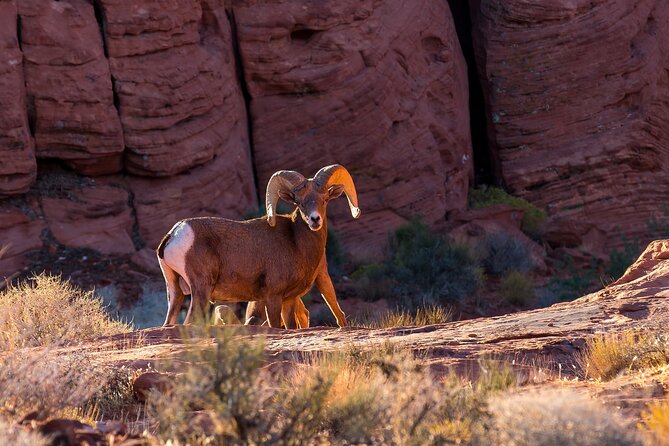 Grand Canyon West, Hoover Dam and Seven Magic Mountains & LV Sign - Hoover Dam in a focused 30-minute visit